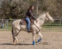 CO9A9906-crp-cw-res.jpg