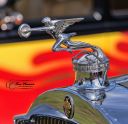 CO9A5029-tp-crp-cw-res.jpg